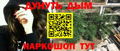 ПСИЛОЦИБИНОВЫЕ ГРИБЫ Нальчик