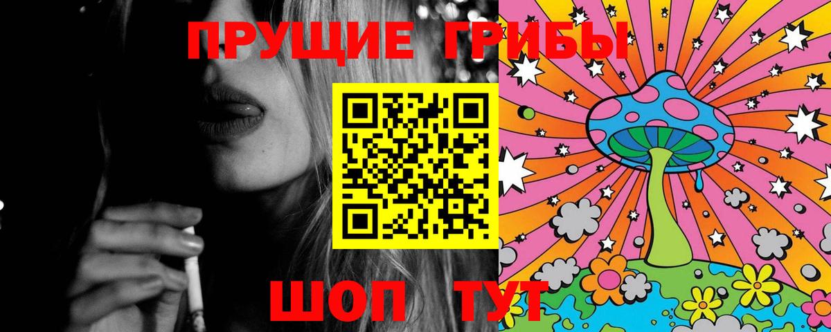 Галлюциногенные грибы прущие грибы  Вход с VPN  Галлюциногенные грибы Psilocybe  Тольятти 